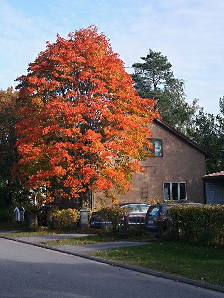 It&auml;ist&auml; Vanhatiet&auml;